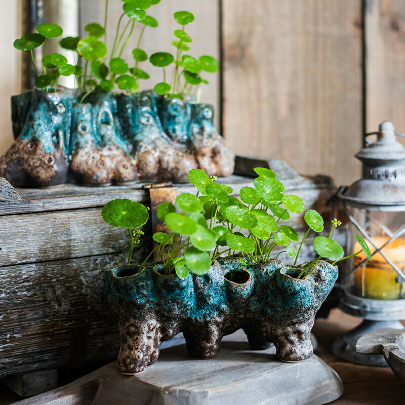 掬涵陶瓷珊瑚花瓶花器花盆水培禪意古風裝飾擺件禮物創意另類個性