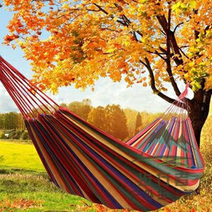 戶外蕩鞦韆搖床單雙人加厚帆布吊床吊網室內成人 年終鉅惠 可開發票