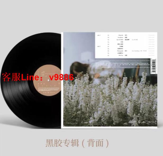 【咨詢客服應有盡有】蔡健雅新專輯 出走 33轉12寸留聲機專用黑膠LP大碟