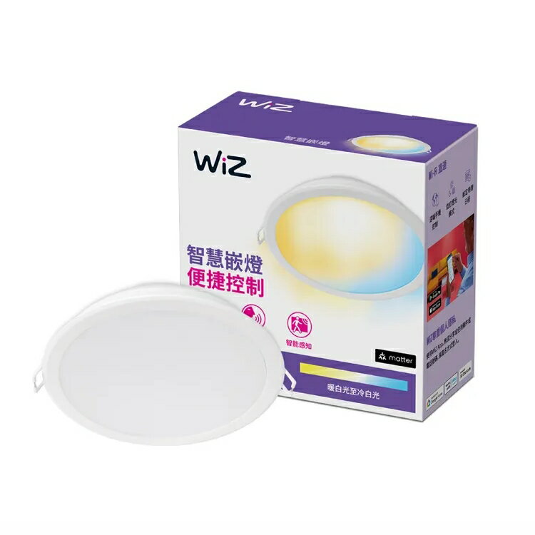 WiZ崁燈 15公分 可調色溫智能崁燈 PW03N 支援 matter 開發票【高雄永興照明】【APP滿額下單10%點數(單一帳號最高1500點)】8/31止