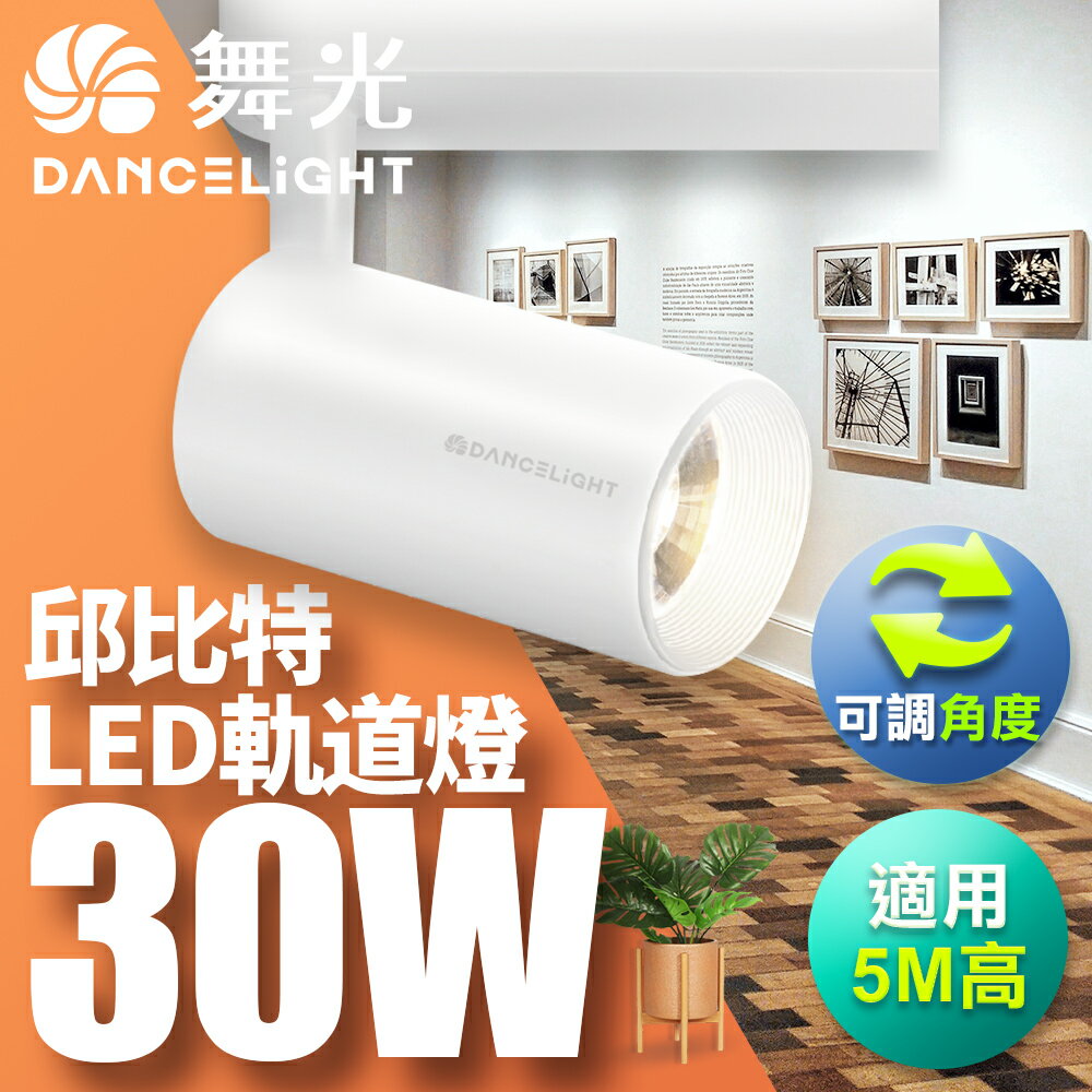 【DanceLight 舞光】30W 邱位元 LED軌道燈 一體式 方便安裝長管型 時尚白/貴族黑 2年保固(白光/自然光/黃光)