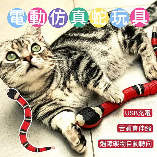 『台灣x現貨秒出』USB電動仿真蛇貓咪玩具 逗貓玩具 自嗨玩具 貓貓玩具 造型玩具 電動寵物玩具