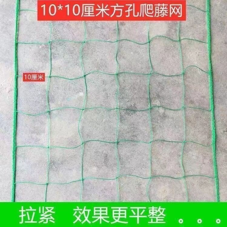 植物爬藤網 百香果種植網 絲瓜吊瓜葡萄爬藤網 黃瓜月季花類爬藤網