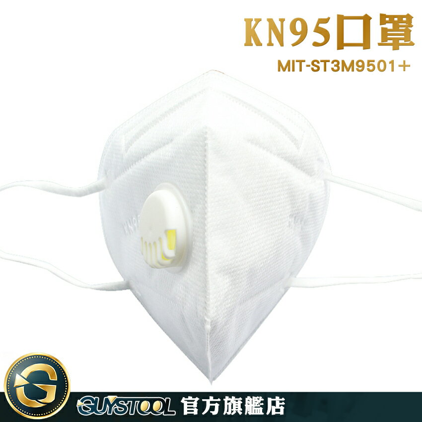 GUYSTOOL 標準口罩 防飛沫 KN95口罩 獨立包裝 口罩支撐架 折疊口罩 防護口罩 MIT-ST3M9501+