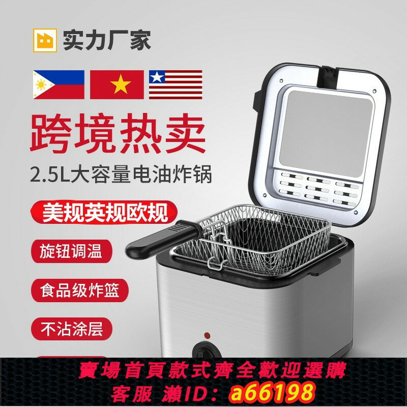 【臺灣公司 可開發票】跨境110V電熱炸爐薯條油炸鍋電炸爐油條機麻花油炸機小吃擺攤地攤