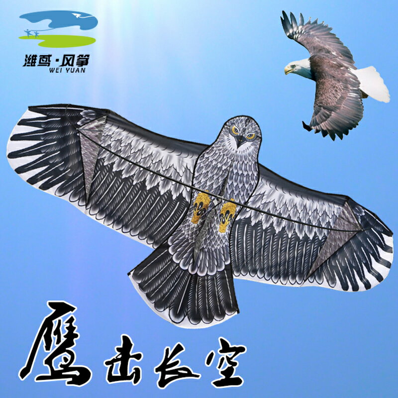 【免運 開發票】 風箏老店老鷹風箏成人兒童超大型卡通鋼鷹金鷹1.8/2.2/3.6米