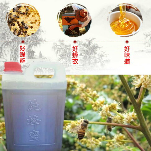 柚柚的店【純正頂級龍眼蜂蜜5台斤1115-026】蜂蠟 百花蜜 台南東山生產 冬蜜 龍眼蜜 百花蜜 彩花蜜 2