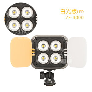 致峰ZF-3000白光版led攝像燈 LED攝影燈補光燈 外拍新聞燈 機頭燈