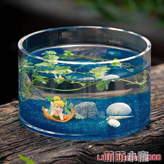 水族箱玻璃花瓶 玻璃魚缸圓形桌面水培荷花缸 烏龜缸玻璃魚缸客廳擺件 萌萌小寵