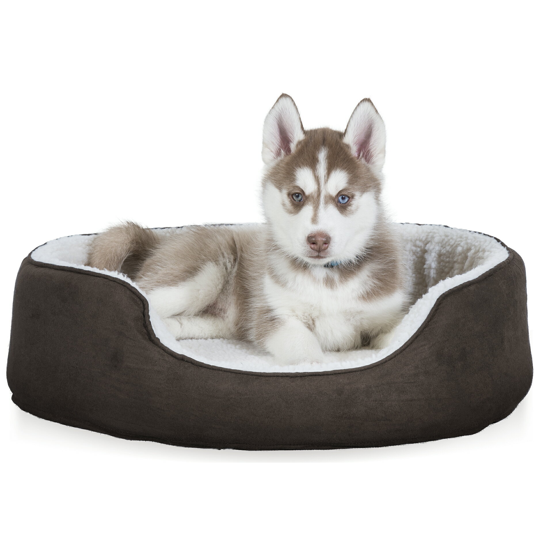 Furhaven Nap Pet Bed Orthopedic Oval, Dog Bed King Usa
