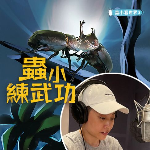 【有聲書】蟲小看世界3：蟲小練武功 0