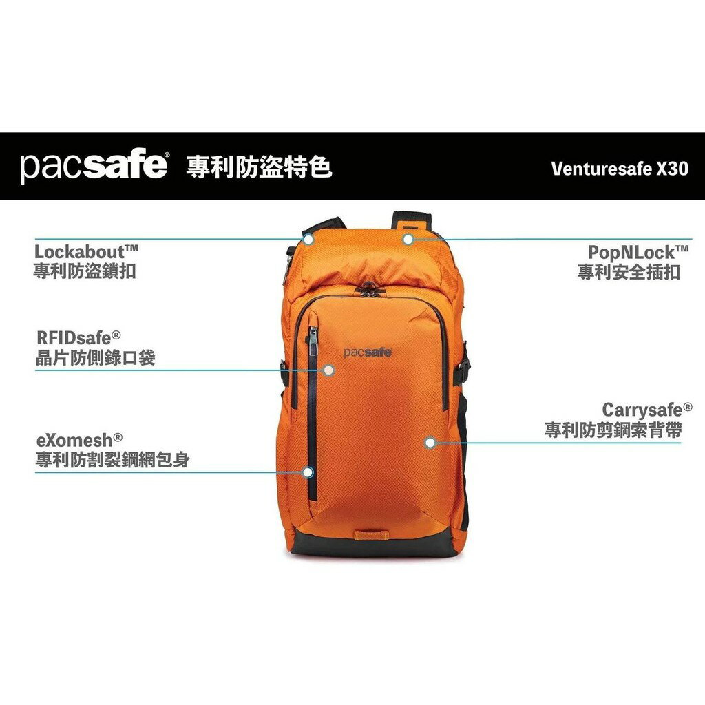 Pacsafe venturesafe hotsell x 30l