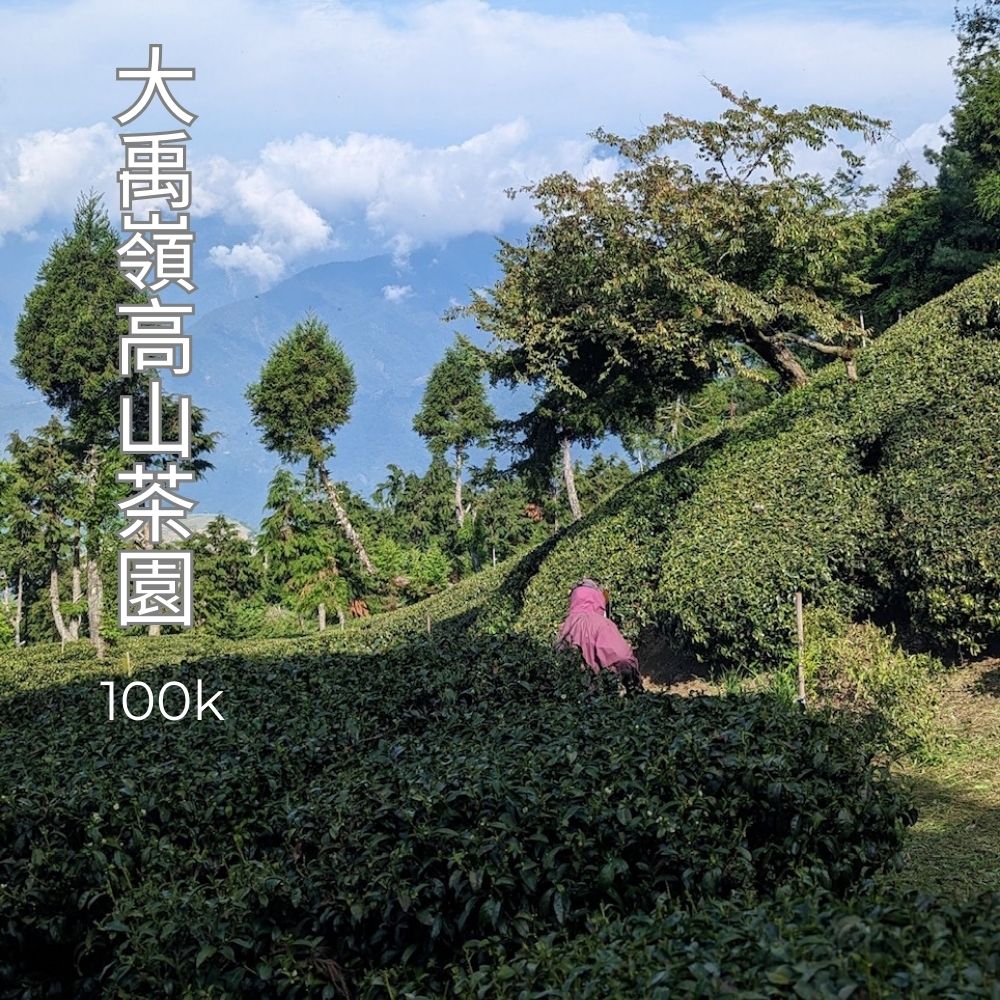台灣 大禹嶺 100k茶園  雪藏烏龍 共2包/150g(直送日本) 4