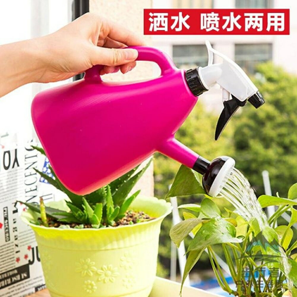 2個裝 灑水壺澆花小噴壺家用室內多功能大容量澆水園藝