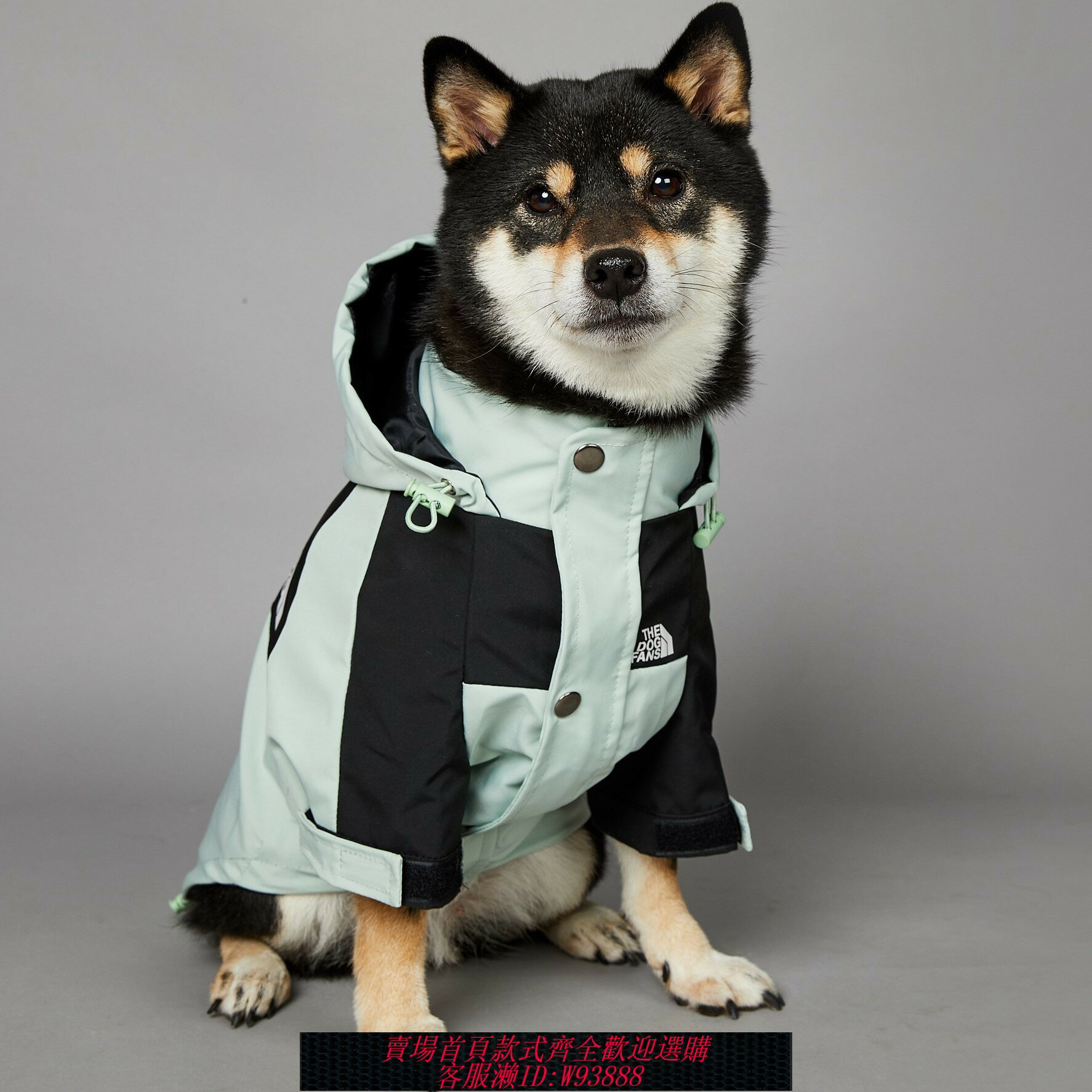 {臺灣公司貨 可打統編}新款寵物狗狗潮牌狗臉秋冬衣服雨衣防風防水沖鋒衣小中大型犬邊牧
