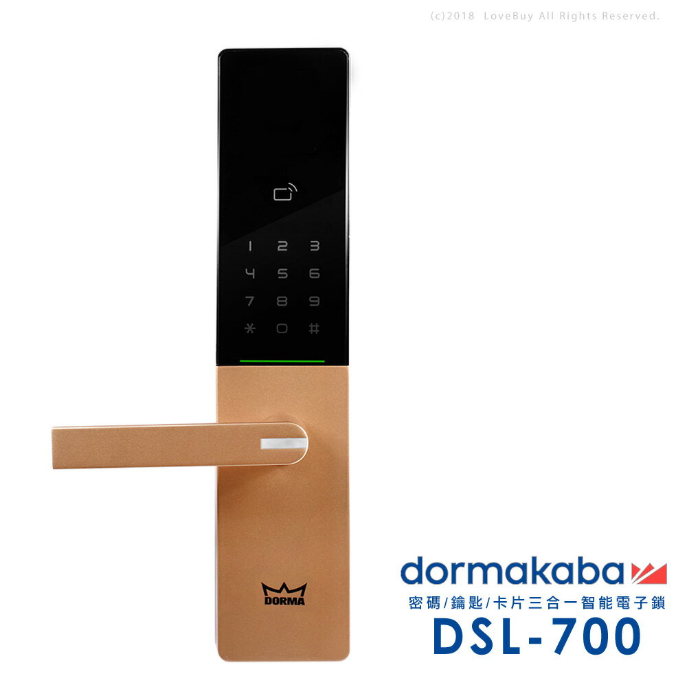 dormakaba 三合一密碼/卡片/鑰匙智能電子門鎖DSL-700(香檳金)(附基本安裝)