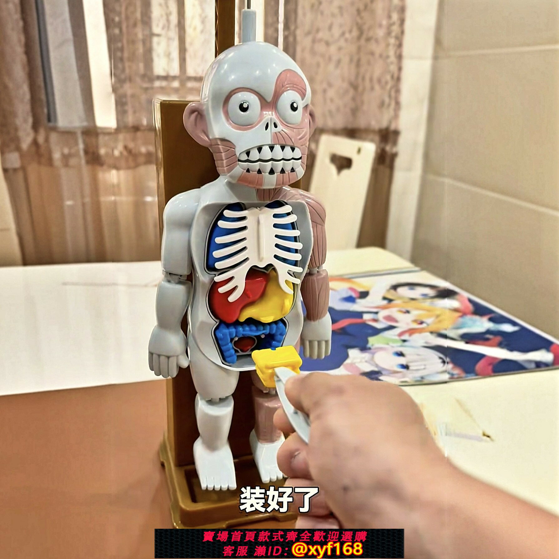 {保固一年 可打統編}電動人體模型內臟立體玩具散架整蠱器官模型遊戲惡搞骷髏骨骼拼裝