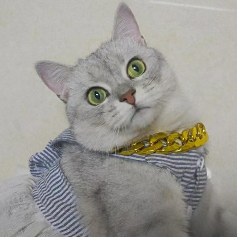 法鬥項鍊 狗狗項鍊 寵物項鍊 惡霸項鍊 比特項鍊 9