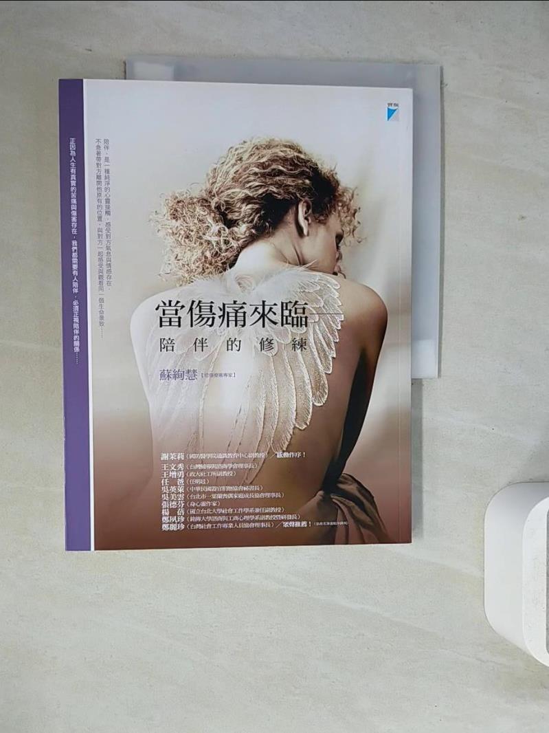 【書寶二手書T1／心理_ZVE】當傷痛來臨-陪伴的修練_蘇絢慧