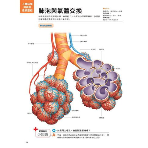 人體結構與疾病透視聖經:看不到的身體構造與疾病,3D立體完整呈現,比X光片真實(附日本授權3D立體動畫) 8
