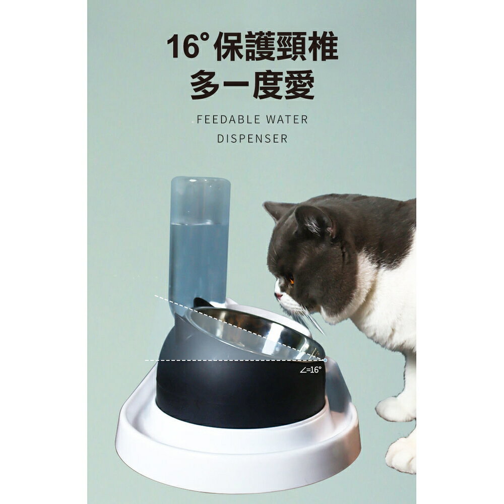 [現貨]寵物碗 寵物餐桌 狗狗碗 狗用品 寵物餵食器 狗碗 貓盆 貓碗 貓咪碗 飼料碗 寵物傾斜餐碗餵食器組 2
