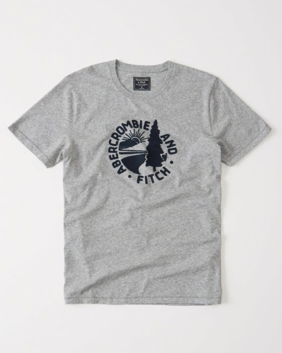 美國百分百【Abercrombie & Fitch】T恤 AF 短袖 T-shirt 短T 麋鹿 男 麻灰 XS M號 H997