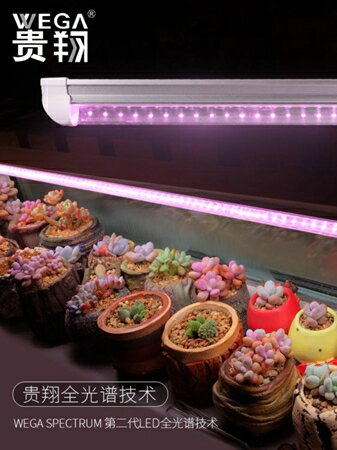 多肉補光燈上色全光譜LED蔬菜花卉育苗食蟲草仿太陽植物生長燈 萬客居 全館免運