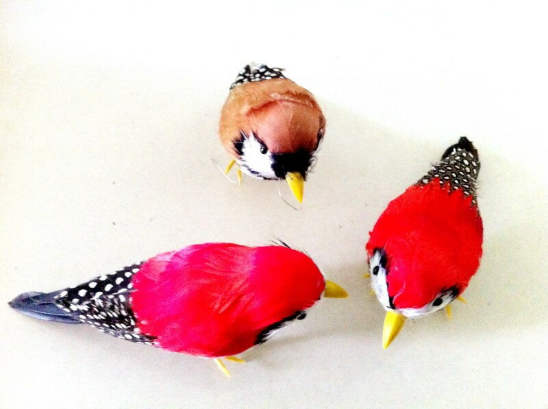 定做各種模擬鳥 珍珠鳥 彩色羽毛喜鵲 小鳥 攝影道具 教學儀器