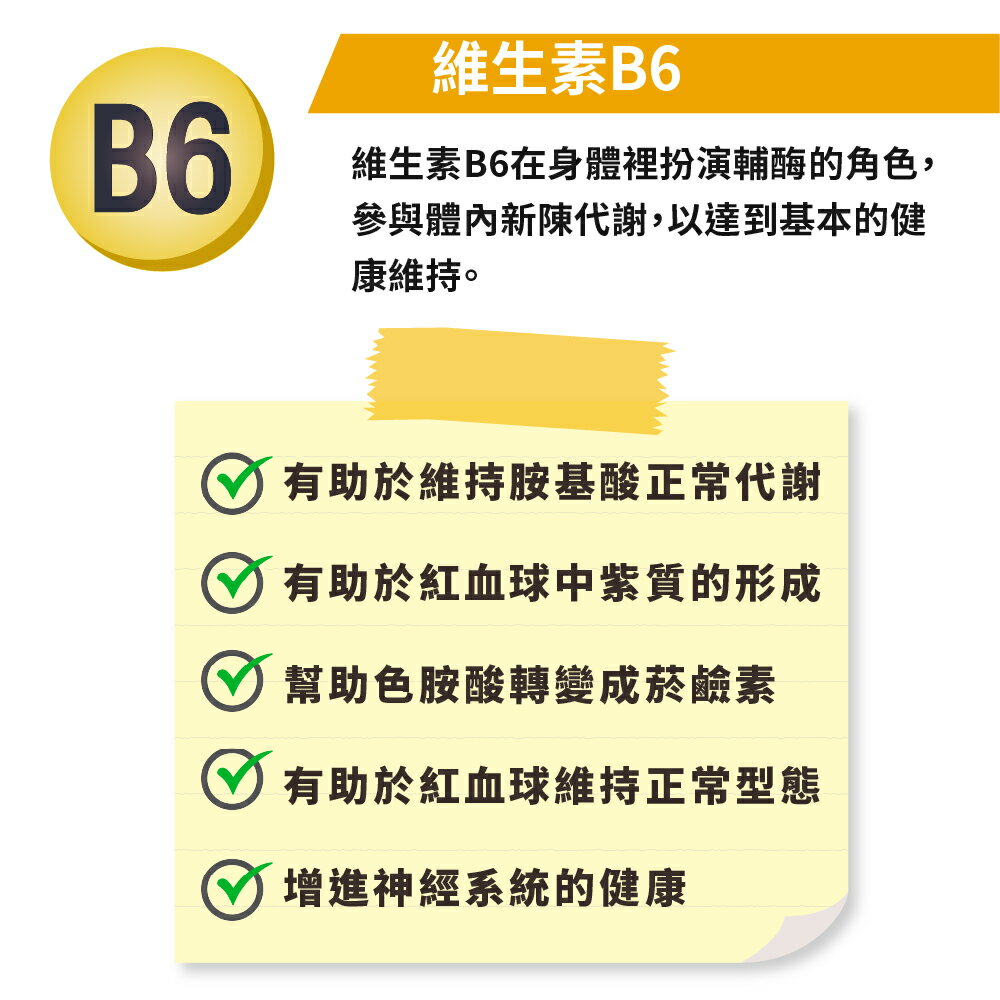LOVITA 愛維他 緩釋型維他命B6素食錠*1瓶  80mg 3