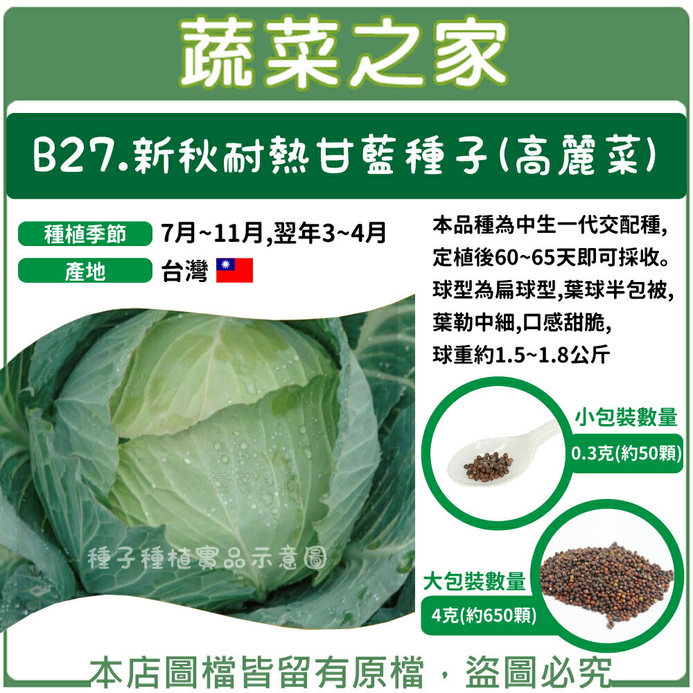 【蔬菜之家】B27.新秋耐熱甘藍種子(高麗菜)(共有2種包裝可選)