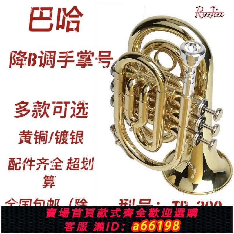 【臺灣公司 可開發票】手掌號 降B調 袖珍小號鍍銀金色 考級演奏