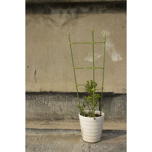 庭院園藝花支架花支柱番茄瓜果爬藤攀援架子變形田園拉伸硬質包塑 協貿國際日用品生活館直營店 樂天市場rakuten 庭院園藝花支架花支柱番茄瓜果爬藤攀援架子變形田園拉伸硬質包塑 協貿國際日用品生活館直營店 樂天市場rakuten