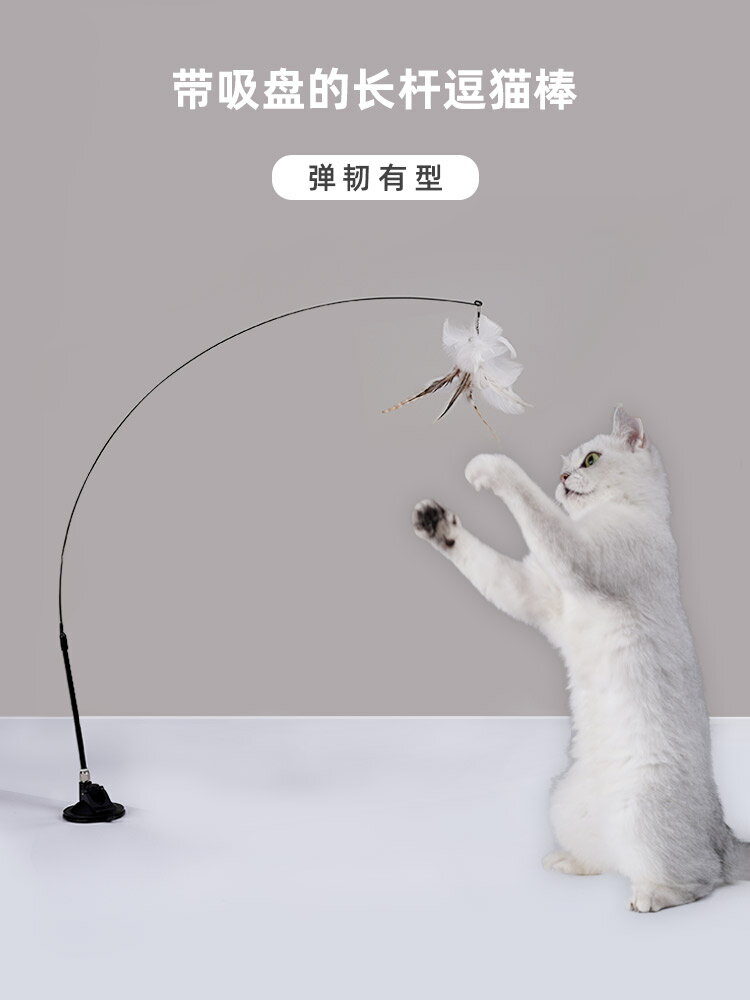貓玩具逗貓棒強力吸盤固定可手持加長鋼絲桿仙女棒幼貓自嗨玩具