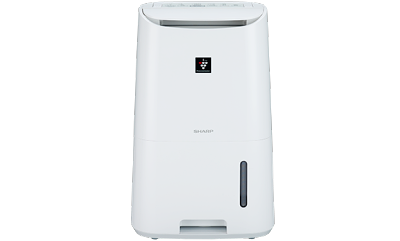 SHARP 夏普6L除菌離子空氣清淨除濕機/DW-H6HT-W