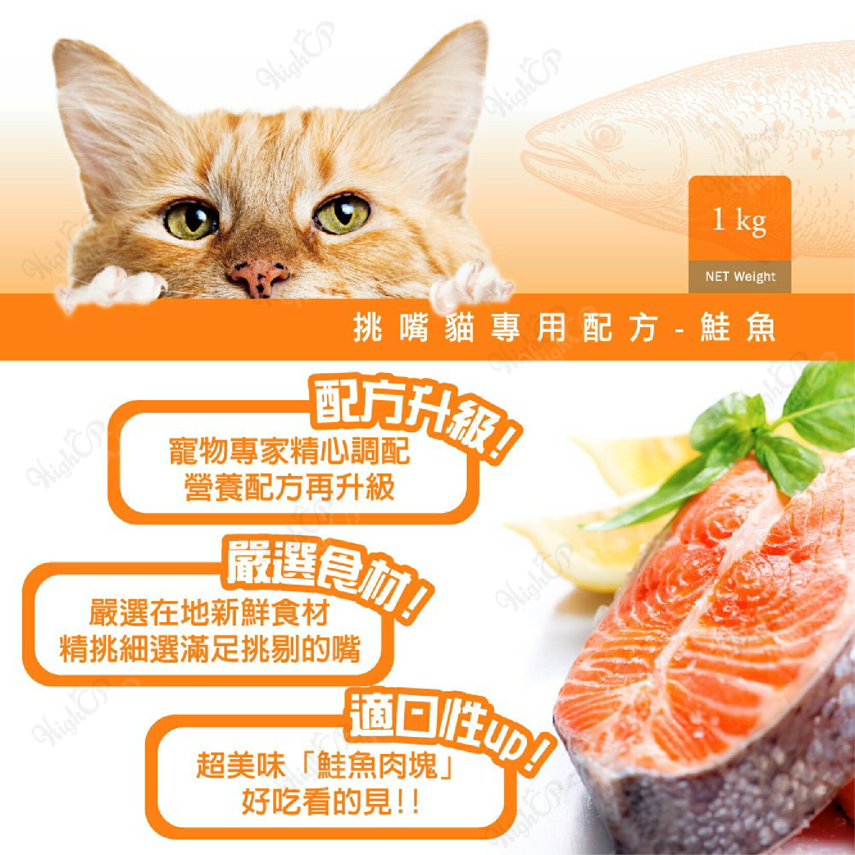 健康紀元 HEALTHYERA 貓飼料 挑嘴貓飼料 福壽 葛莉思 貓乾糧 貓糧食 貓食品 貓咪飼料【240804】 6