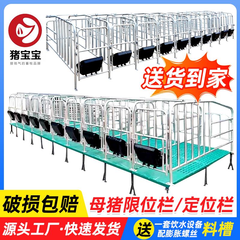 {可開發票}母豬定位欄母豬產床落地式定位圍欄桿豬圈漏糞板加厚豬用限位欄