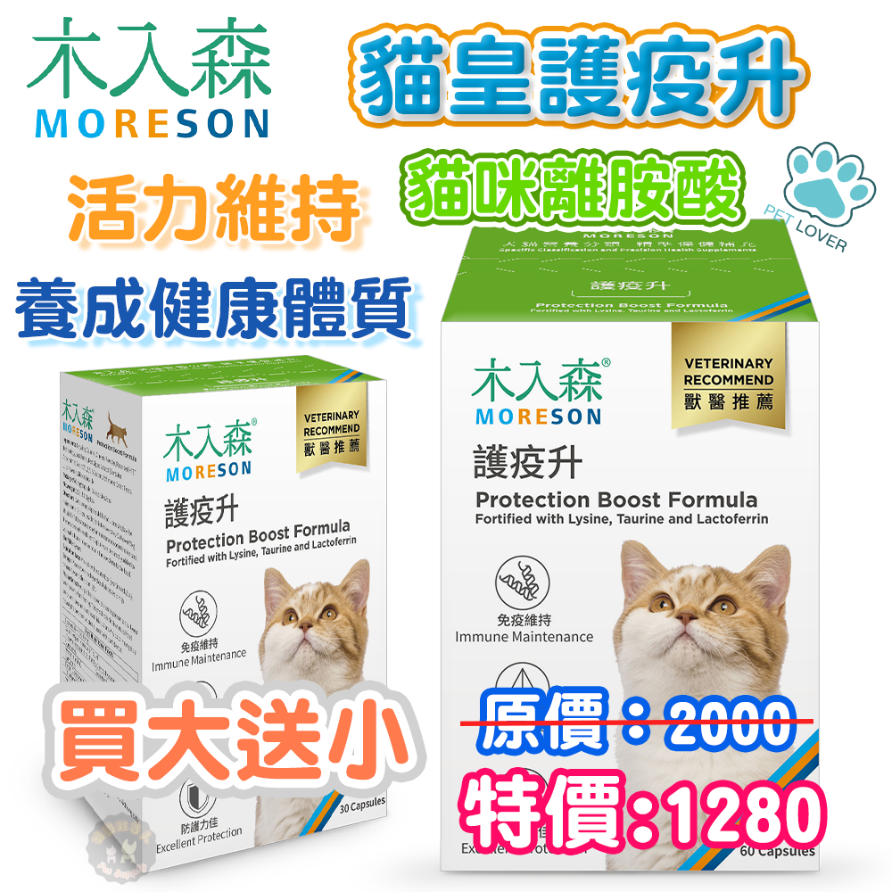 🔥買大盒送小盒🔥木入森 【貓皇護疫升】30顆/60顆 調節貓咪免疫力 貓咪離胺酸 乳鐵蛋白 β-葡聚糖 牛磺酸 蝦紅素 紫錐花萃取