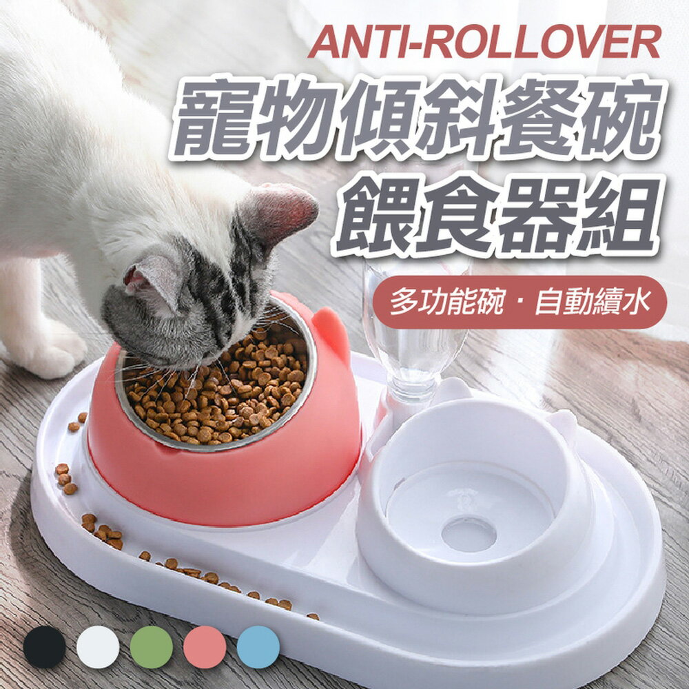 [現貨]寵物碗 寵物餐桌 狗狗碗 狗用品 寵物餵食器 狗碗 貓盆 貓碗 貓咪碗 飼料碗 寵物傾斜餐碗餵食器組