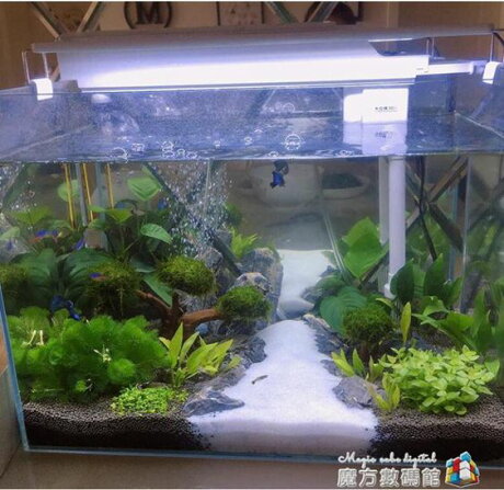 魚缸過濾器三合一凈水循環小型靜音水循環系統頂滴流泵上濾過濾盒 摩可美家 Rakuten樂天市場 魚缸過濾器三合一凈水循環小型靜音水循環系統頂滴流泵上濾過濾盒 摩可美家 Rakuten樂天市場
