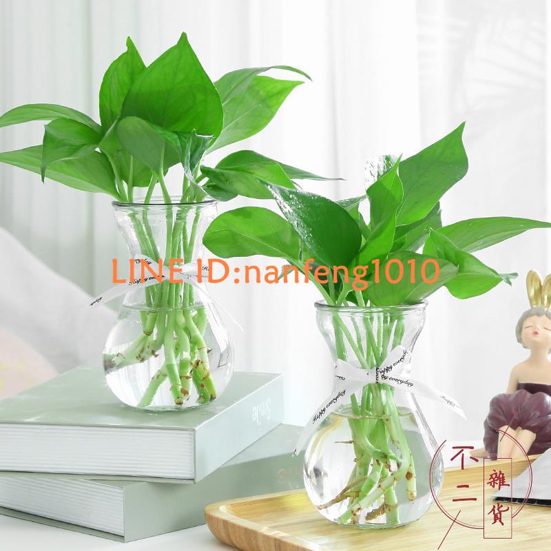 3個裝 加厚玻璃花瓶透明北歐創意水培植物綠蘿水養插花器【不二雜貨】