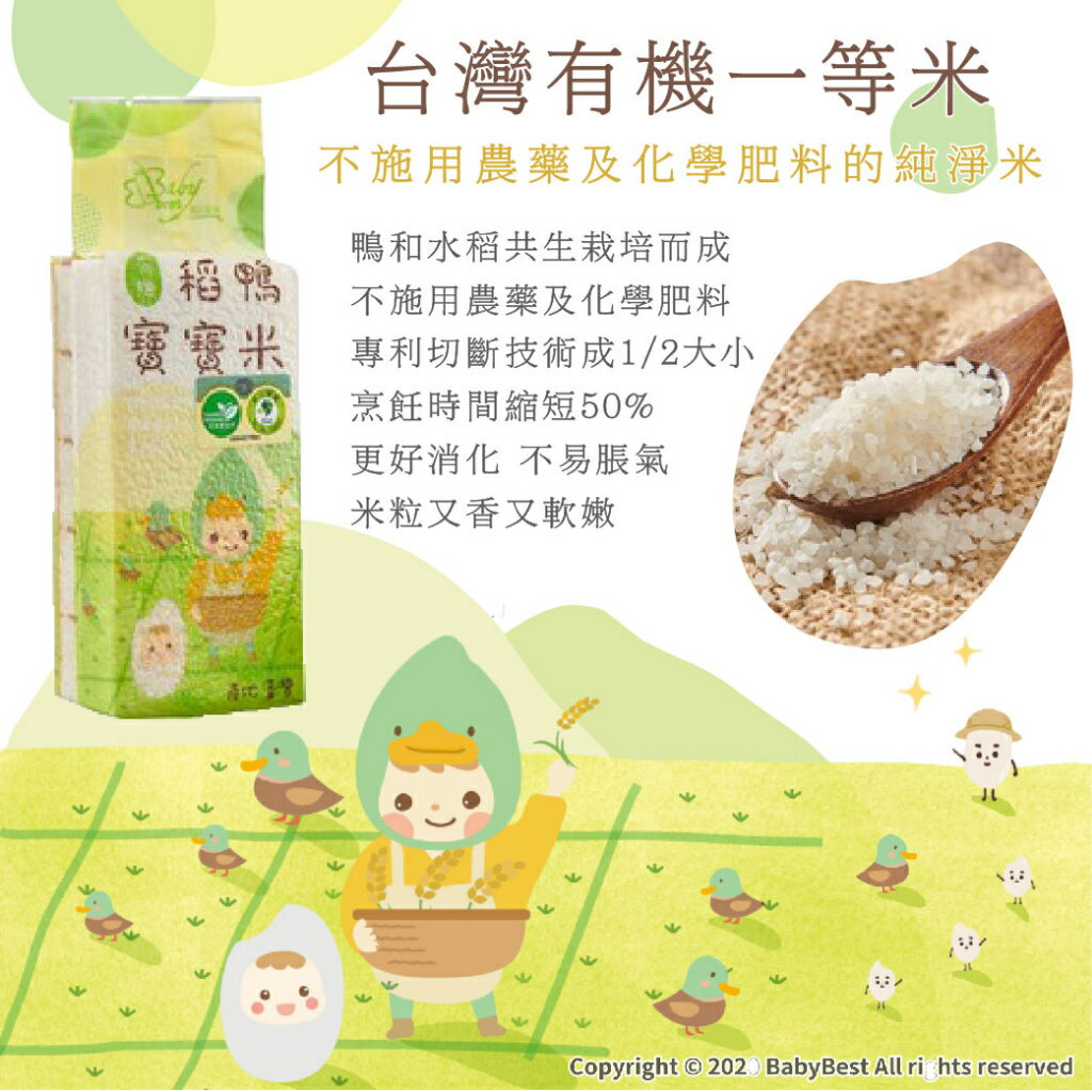 台灣 BabyBest 貝比斯特 有機寶寶米 500g/包 米 純淨米