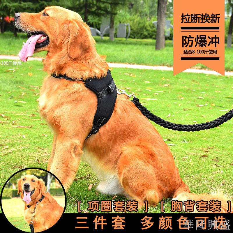 狗狗牽引繩胸背狗鏈子小型犬狗繩中型大型犬金毛拉布拉多狗狗用品