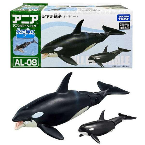 【台灣出貨 Fun心玩】AN13763 正版 日本 多美 AL-08 虎鯨 漂浮版 探索動物 多美動物 玩水 動物玩具