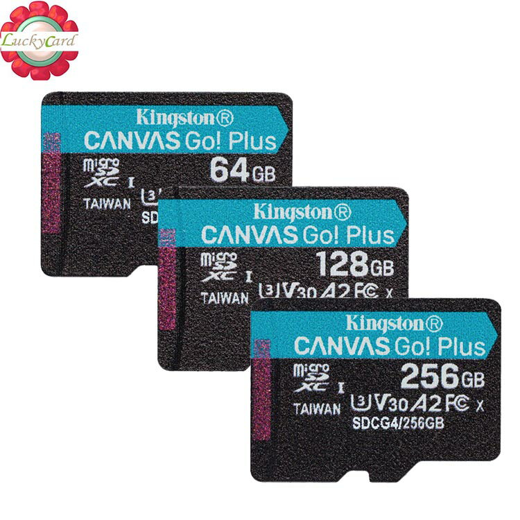 KINGSTON 64GB 128GB 256GB microSD SDCG4 200MB/s V30 4K 金士頓｜滿額領券最高現折$220