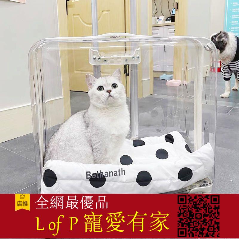 限時折扣！現貨！貓包 拉桿箱 太空艙 寵物包 寵物箱 外出便攜透明狗狗超大號行李箱貓包拉桿箱太空艙貓咪推車兩只 八折下殺 特價出 可開發票 加客服賴享受巨額優惠【L of P 寵愛有家】