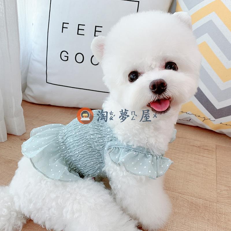 雪紡寵物小狗狗貓咪公主裙博美泰迪比熊衣服小型犬薄款【淘夢屋】