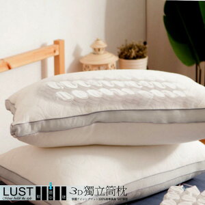 【LUST】3D獨立筒枕/Q彈柔軟 /五星級羽絲絨 /台灣生產