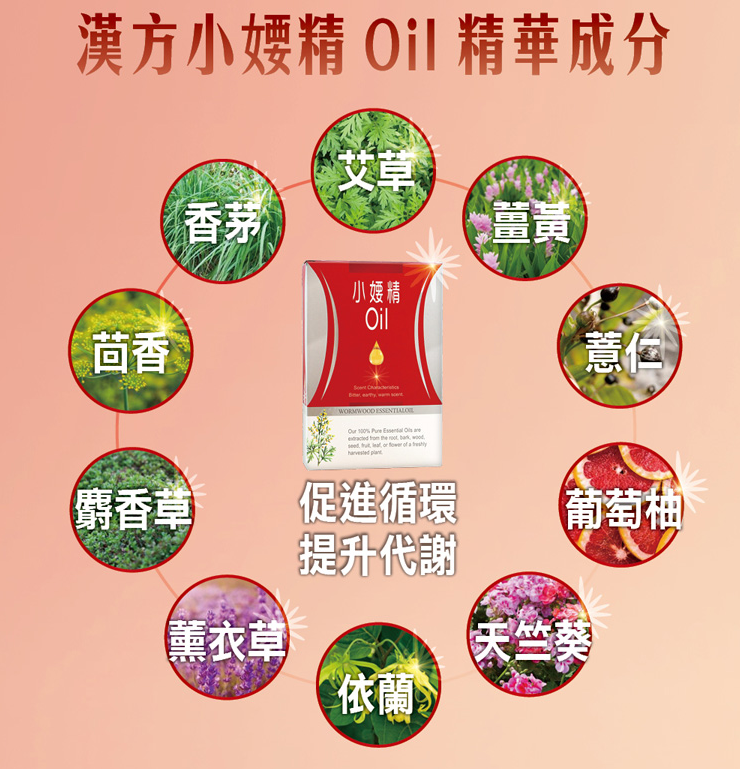 【康華中醫】漢方祛濕循環小腰精油 按摩精油 瘦腰 漢方小妖精精油膠囊 3