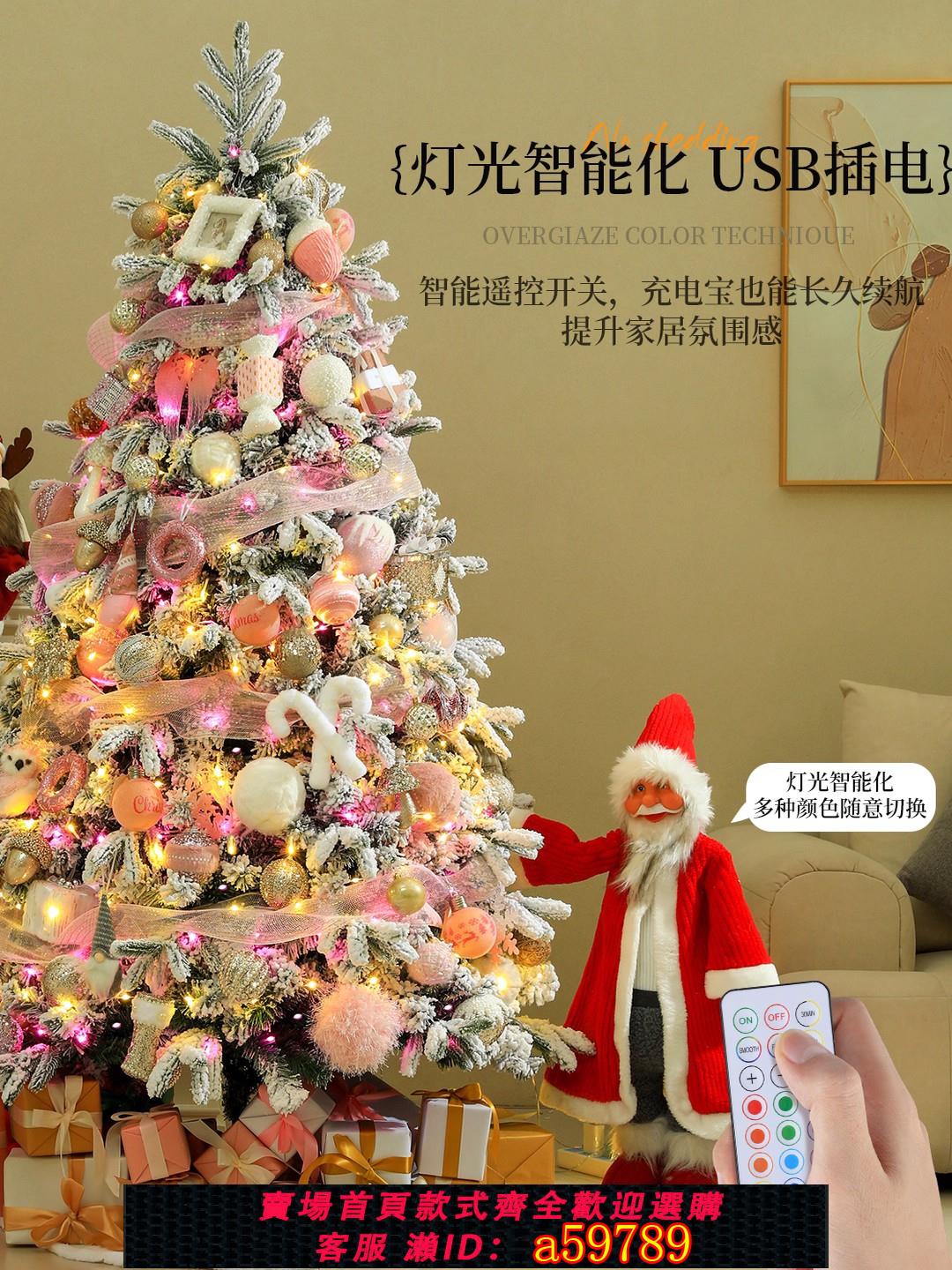 【全網低價 可打統編】2025新款聖誕樹客廳家用diy套餐燈聖誕節pe裝飾樹高階感ins風擺件