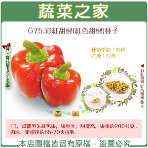 【蔬菜之家】G75.彩紅甜椒(紅色甜椒)種子(共有2種包裝可選)